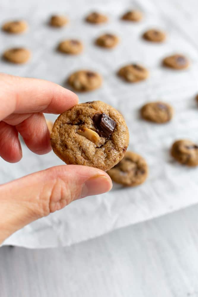 Little cookies are perfect for kids, or to make cookie cereal, the TikTok food trend