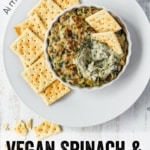 A dish of vegan artichoke dip with crackers and text overlay.